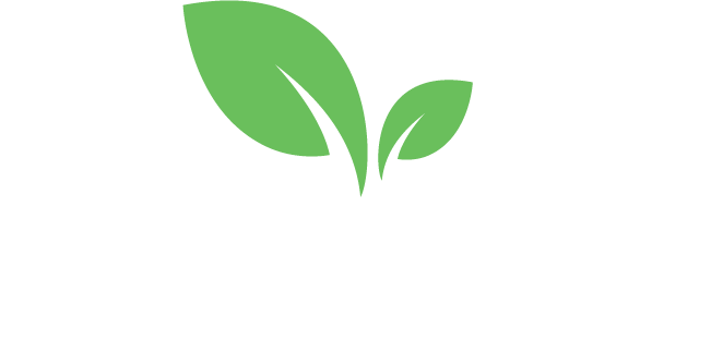 D'Origen